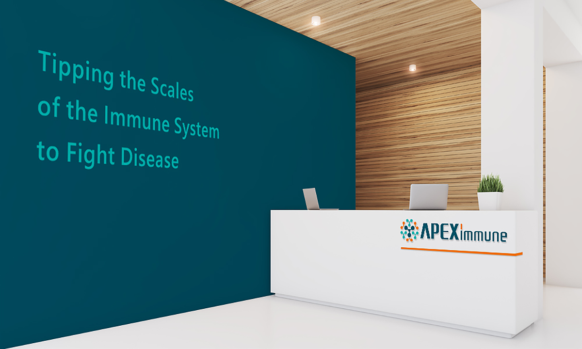 Apeximmune | 企業識別設計